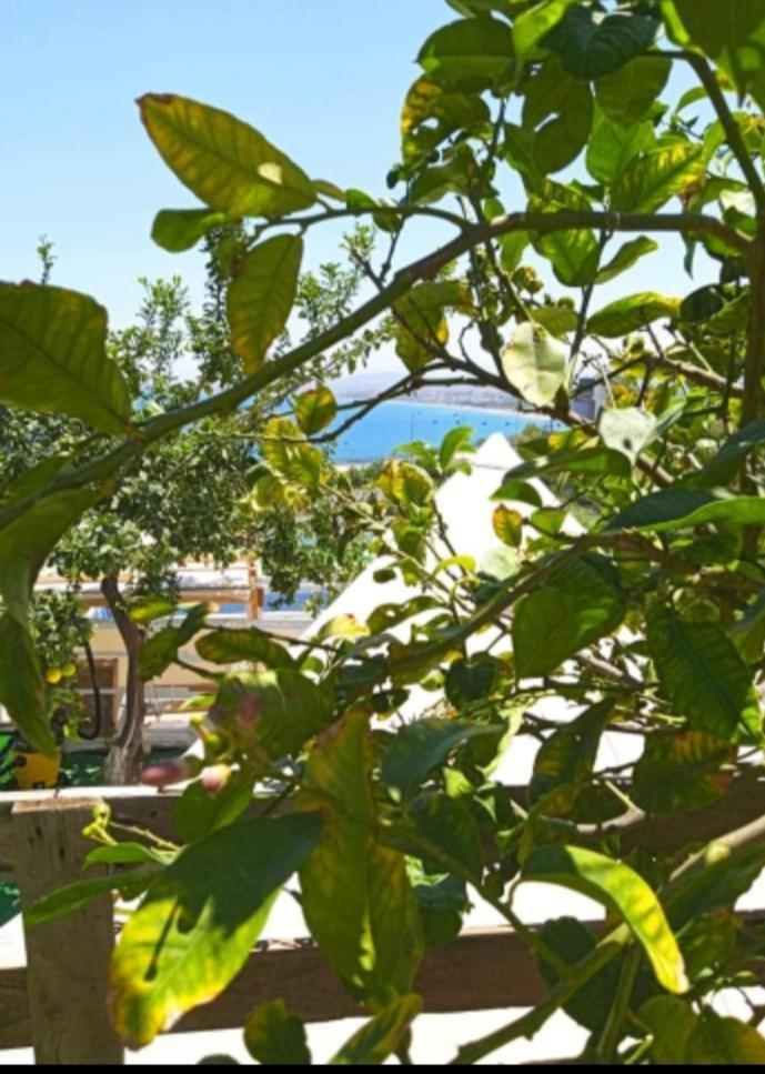 Queens Luxury Glamping Palaiokastro  외부 사진