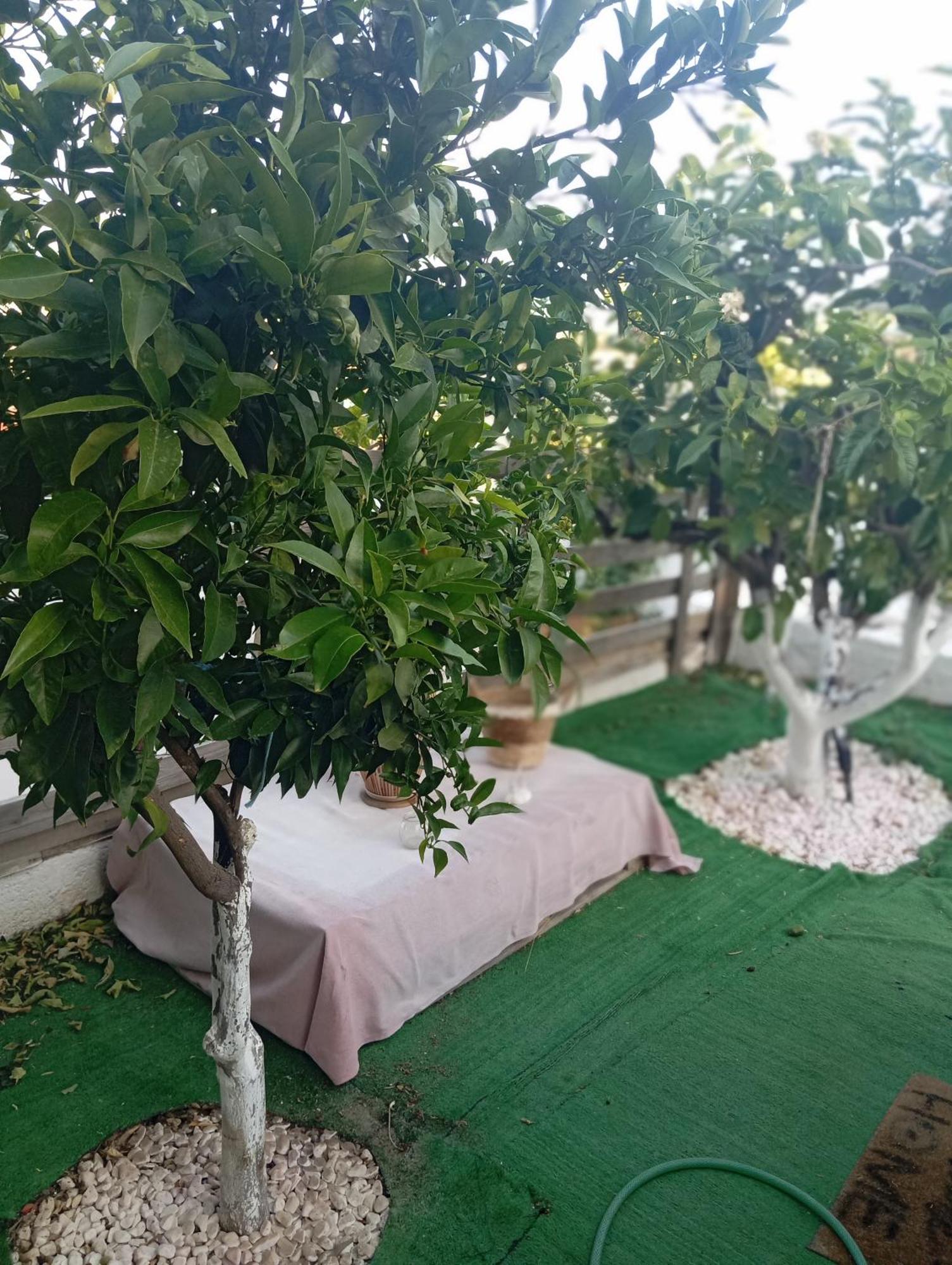 Queens Luxury Glamping Palaiokastro  외부 사진