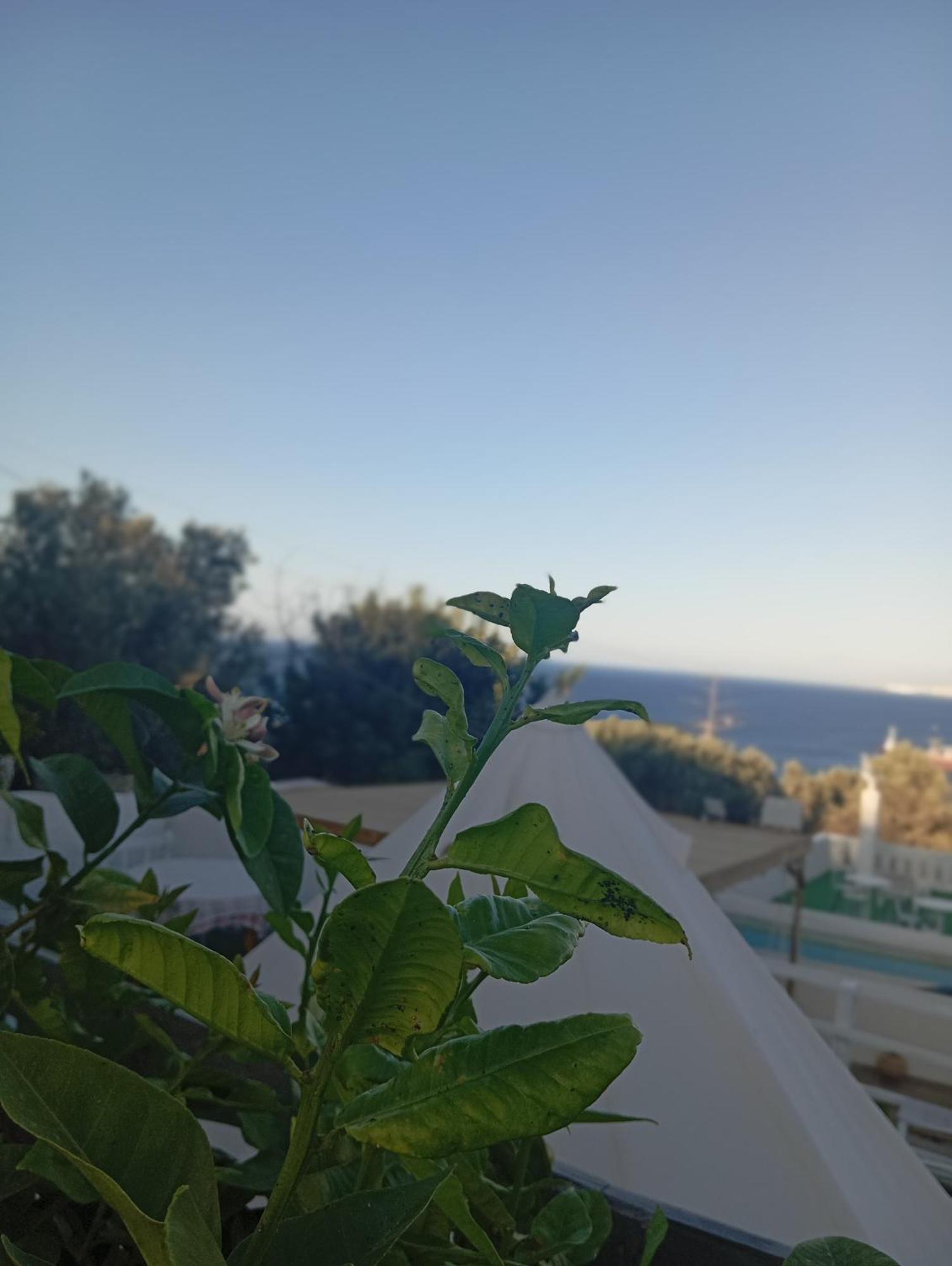 Queens Luxury Glamping Palaiokastro  외부 사진