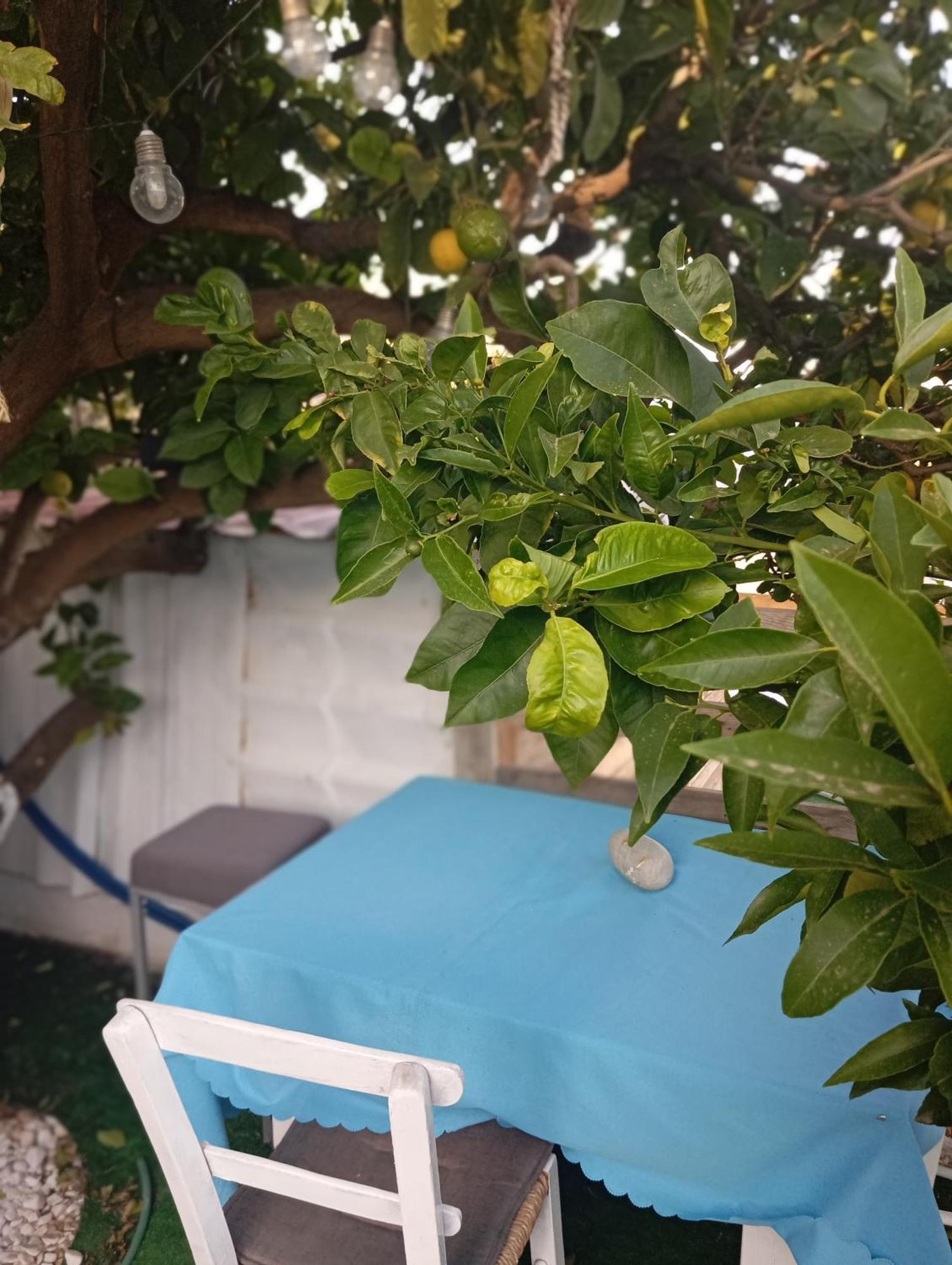 Queens Luxury Glamping Palaiokastro  외부 사진