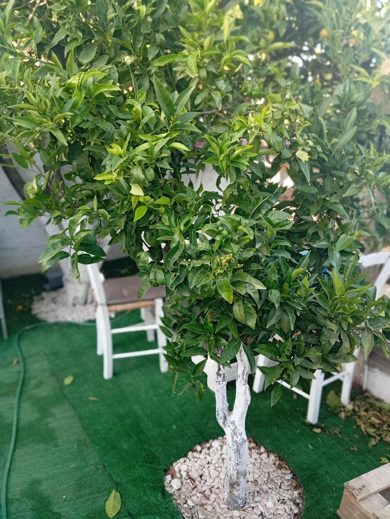 Queens Luxury Glamping Palaiokastro  외부 사진